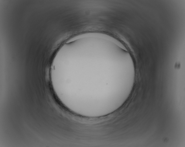 X0000092070019200710101029