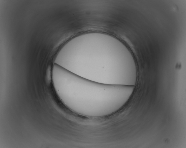 X0000092070020200710101029