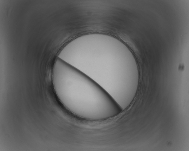 X0000092070021200710101029