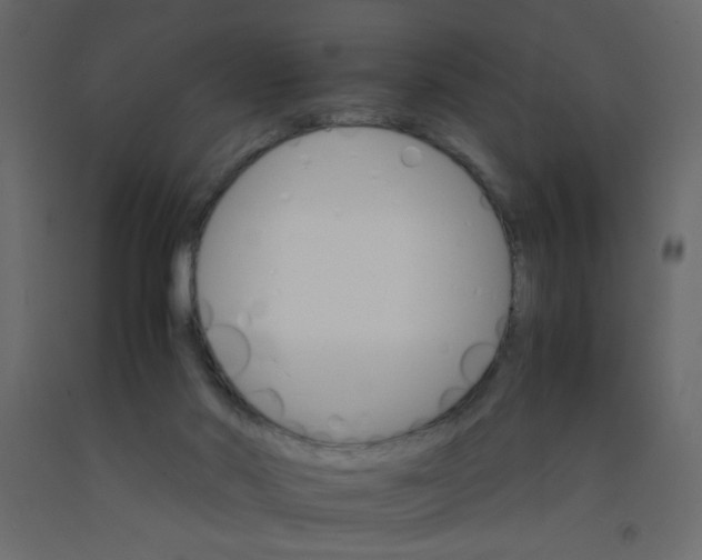 X0000092070022200710101029