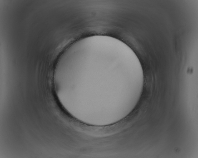 X0000092070023200710101029
