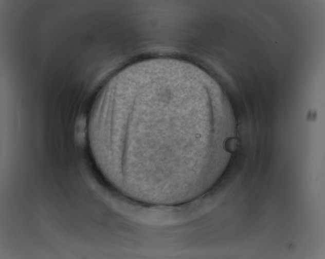 X0000092070024200710101029