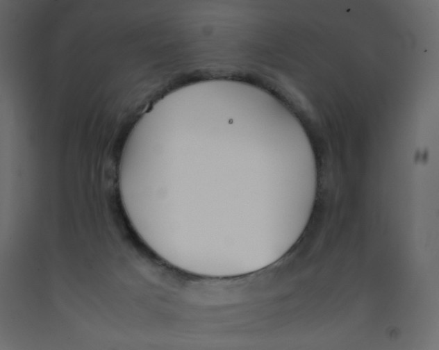 X0000092070025200710101028