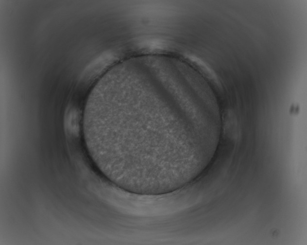 X0000092070026200710101028