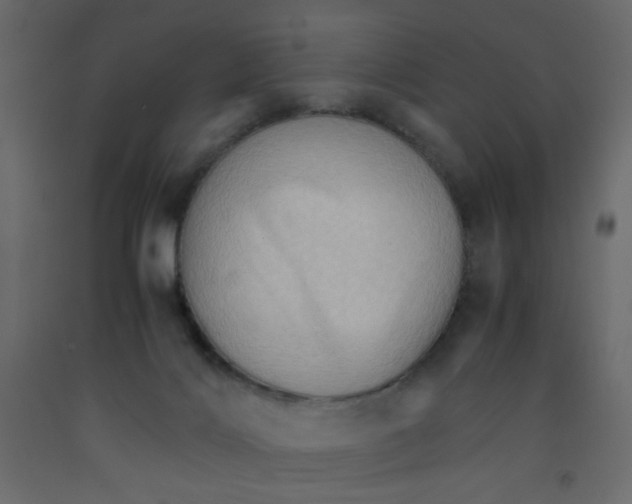 X0000092070028200710101028