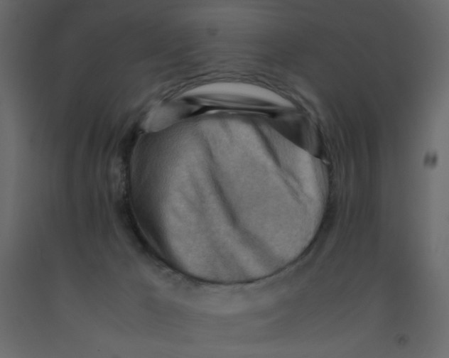 X0000092070029200710101028