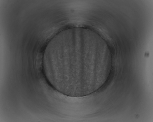 X0000092070030200710101028