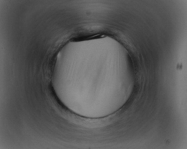 X0000092070031200710101028