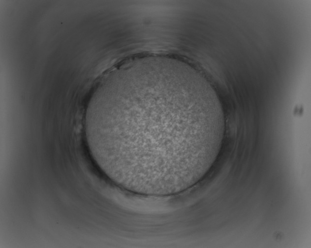 X0000092070032200710101028