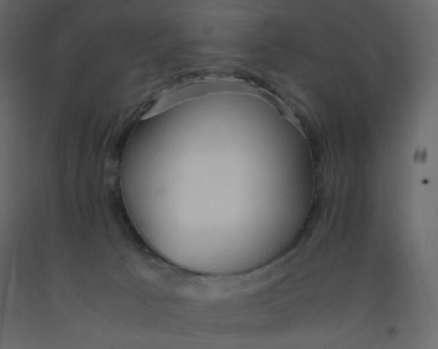 X0000092070033200710101028