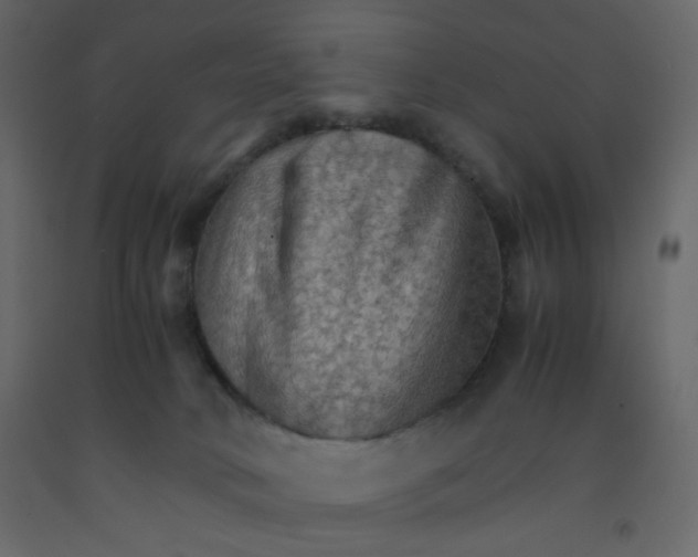 X0000092070034200710101028
