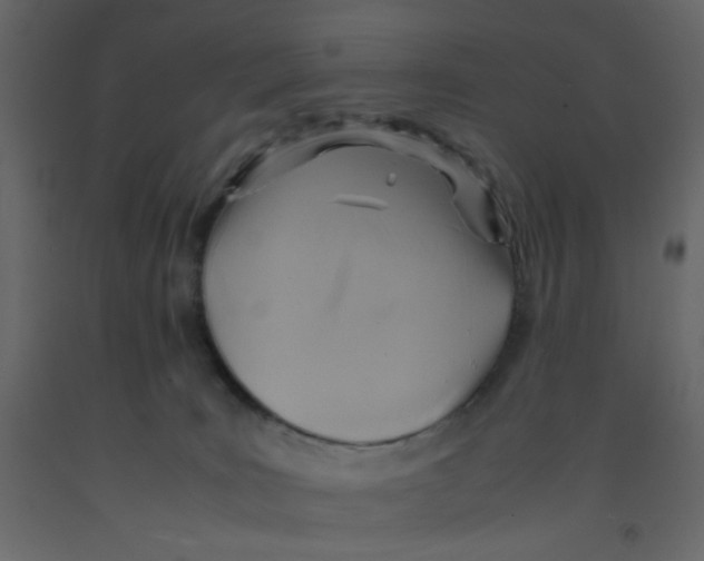 X0000092070035200710101028