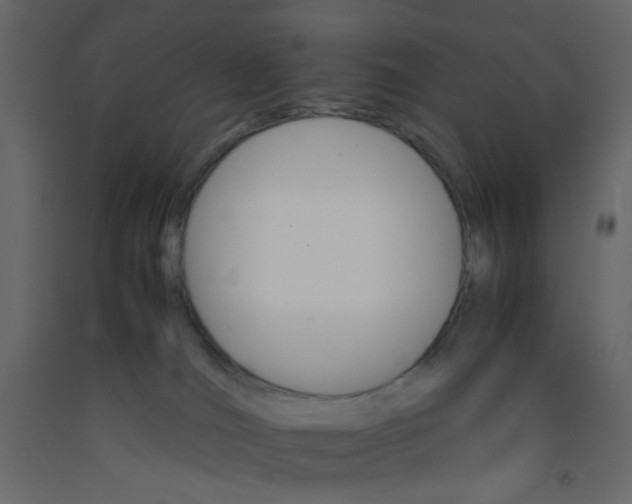 X0000092070036200710101028