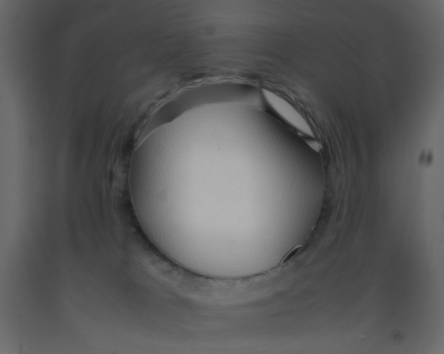 X0000092070037200710101028