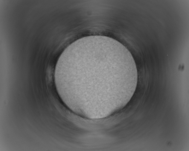 X0000092070038200710101028