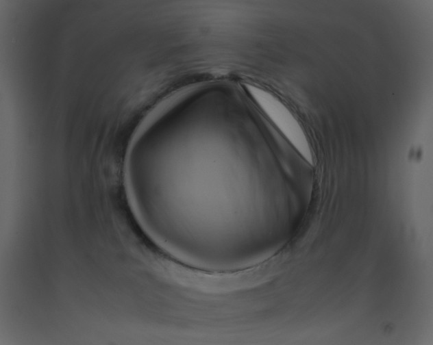X0000092070039200710101028