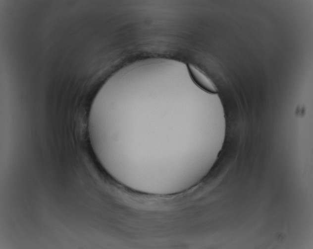 X0000092070040200710101028