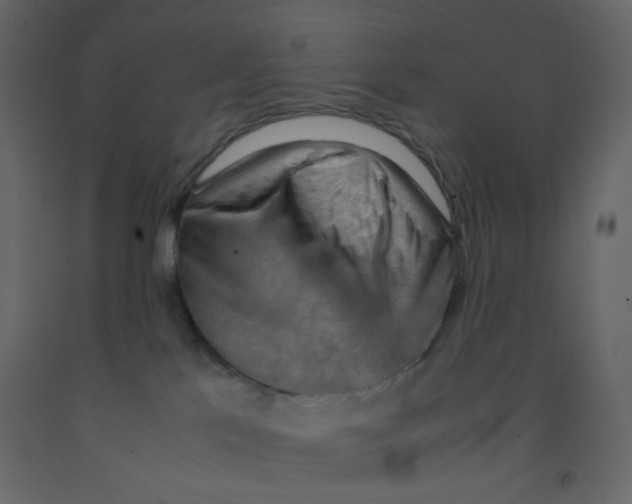 X0000092070041200710101028