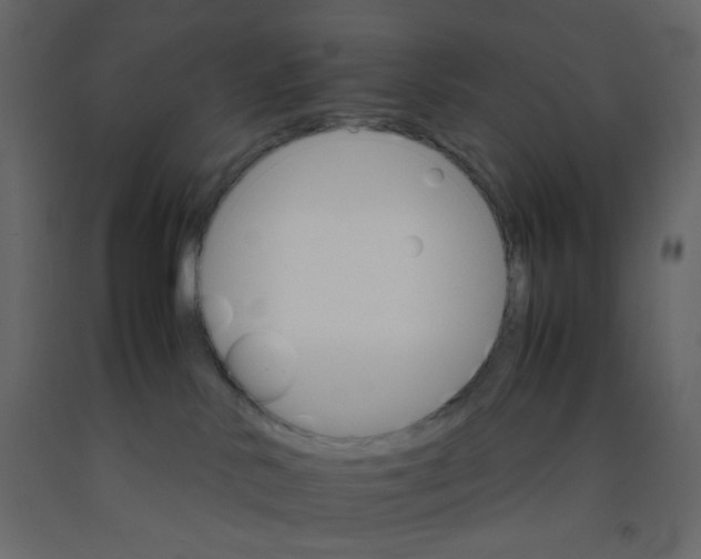 X0000092070042200710101028