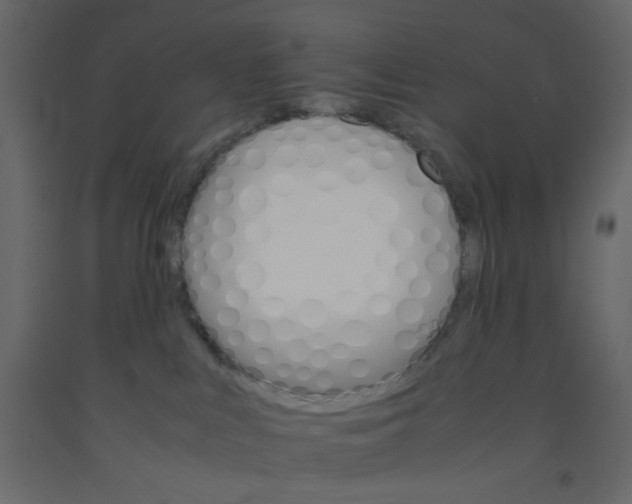 X0000092070043200710101028