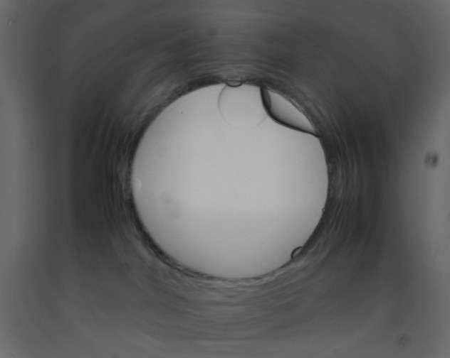 X0000092070044200710101028