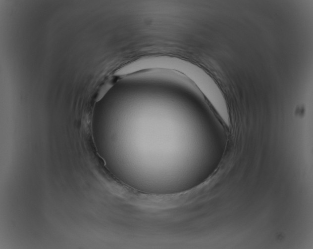 X0000092070045200710101028