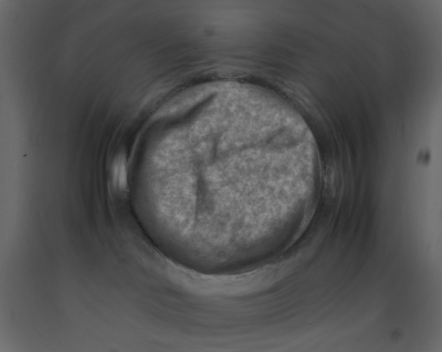 X0000092070046200710101028