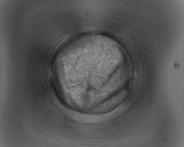 X0000092070048200710101028