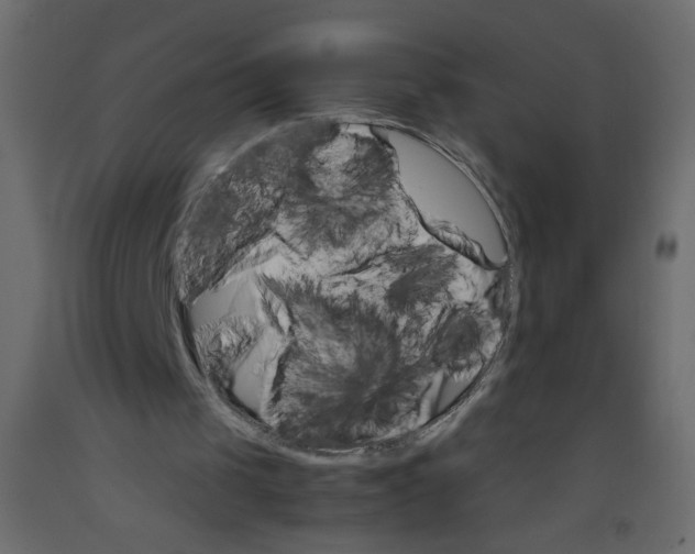 X0000092070049200710101028