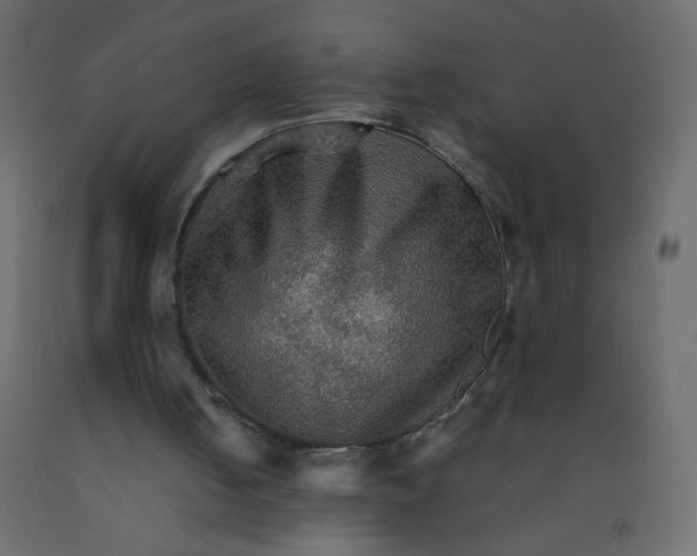 X0000092070050200710101028