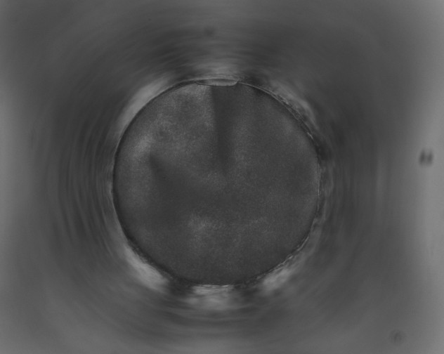 X0000092070051200710101028