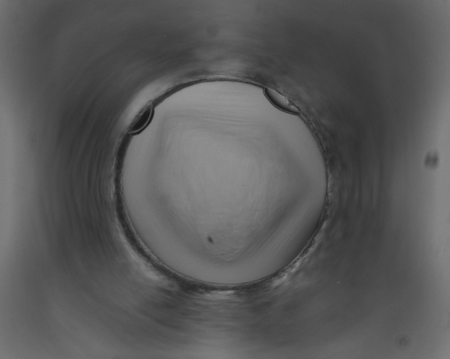 X0000092070054200710101028