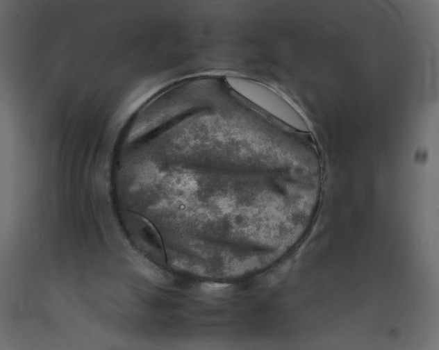 X0000092070055200710101028