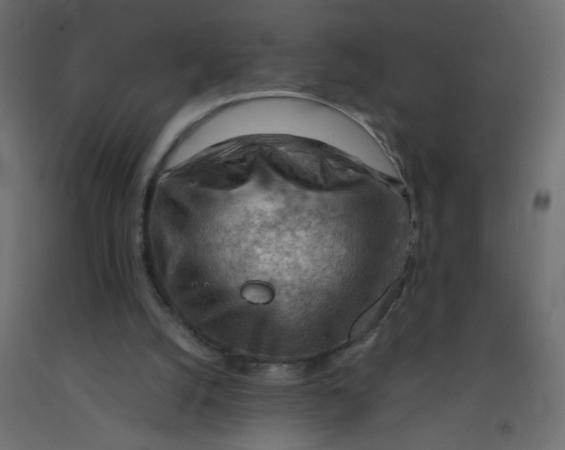 X0000092070056200710101028