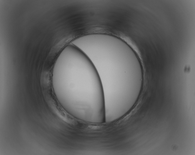 X0000092070057200710101028