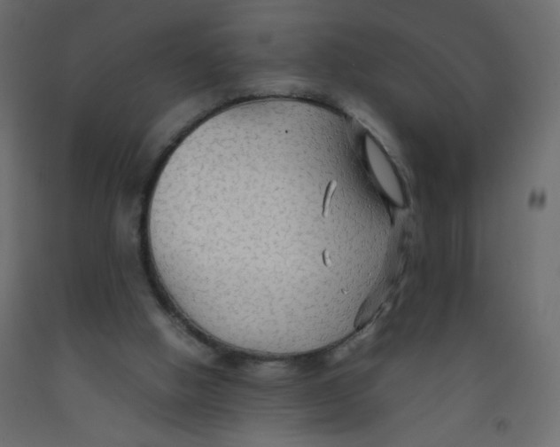 X0000092070058200710101028