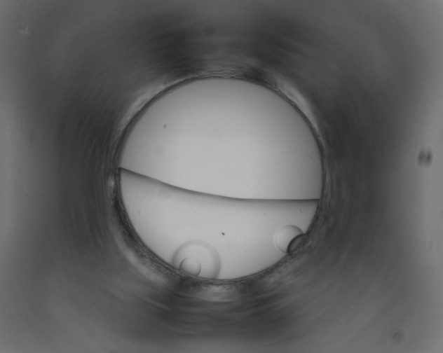 X0000092070059200710101028