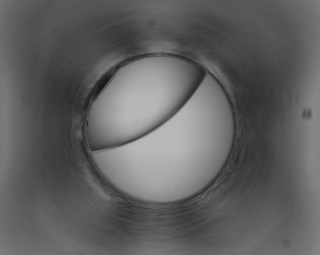 X0000092070060200710101028