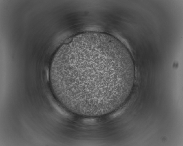 X0000092070061200710101028