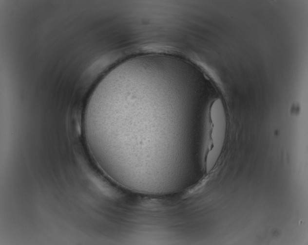 X0000092070062200710101028