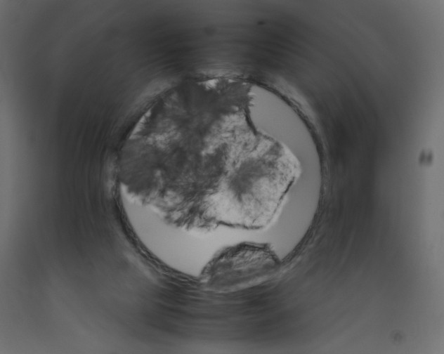 X0000092070065200710101028
