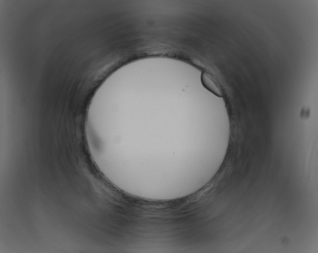 X0000092070066200710101028