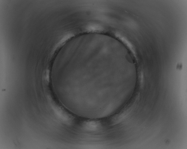 X0000092070067200710101028
