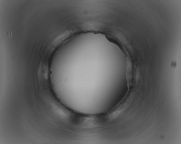 X0000092070068200710101028