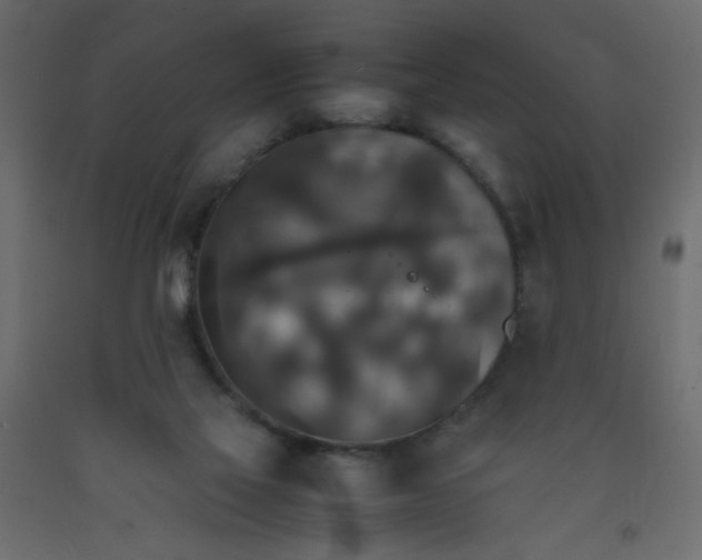 X0000092070069200710101028