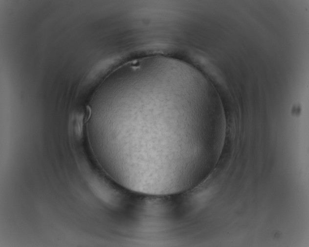 X0000092070070200710101028