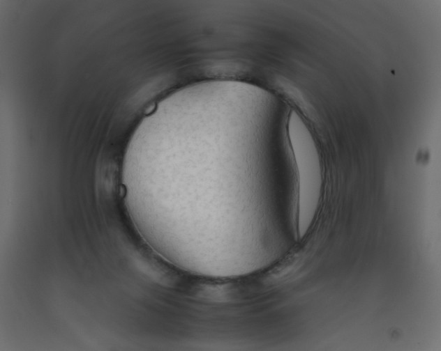 X0000092070071200710101028