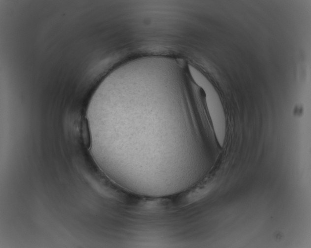 X0000092070072200710101028