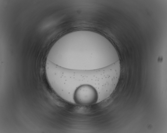 X0000092070074200710101028