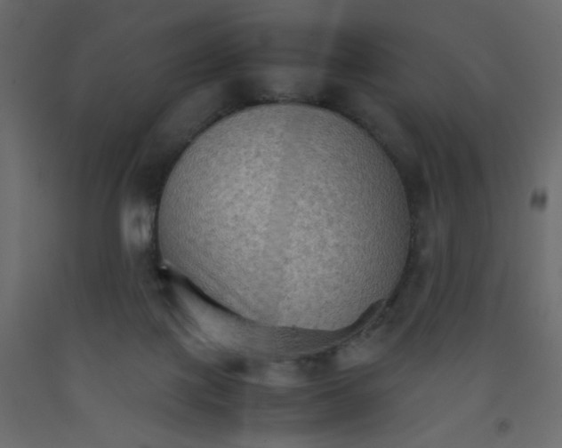 X0000092070075200710101028